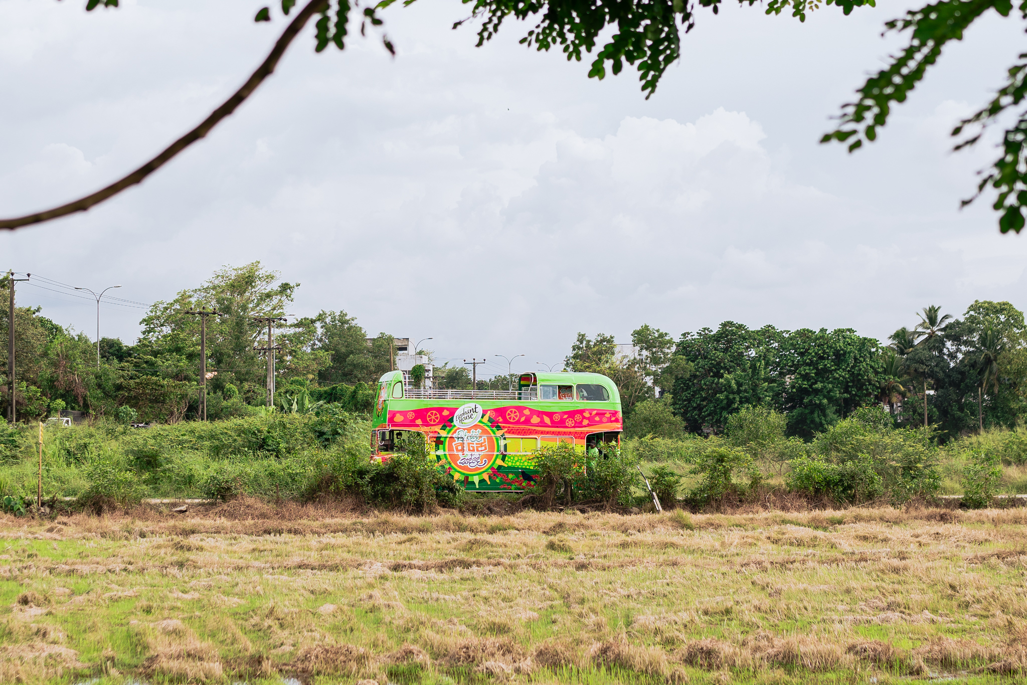 Elephant House Awurudde Ape Sadde - Image 13